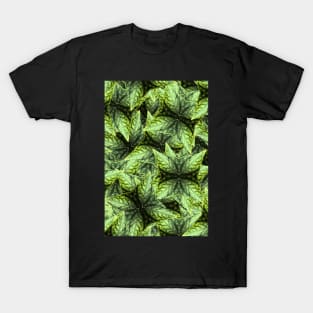 Elf Leaf T-Shirt